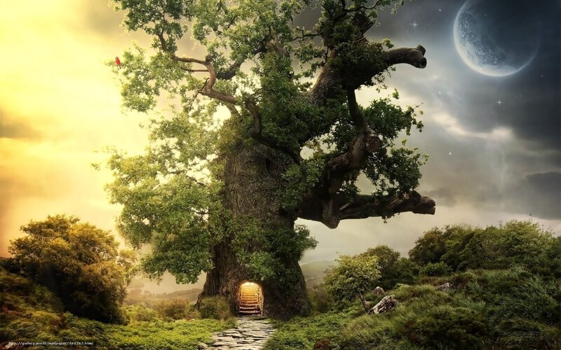 Magical tree with glowing door