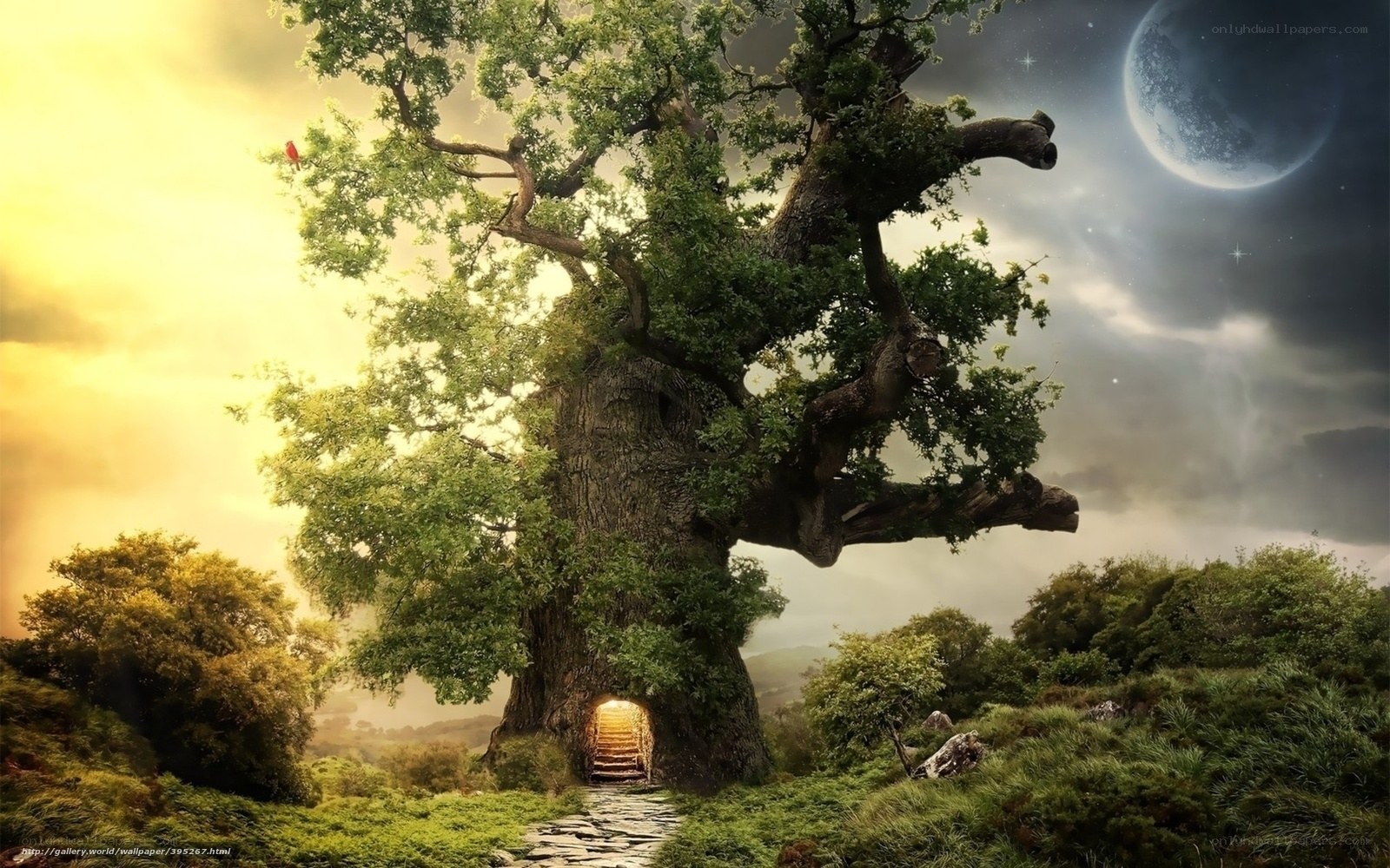 Magical tree with glowing door