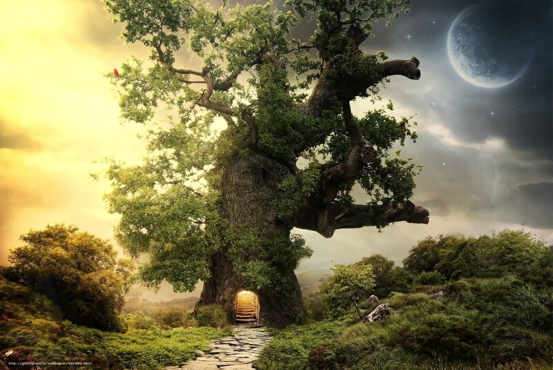 Magical tree with glowing entrance