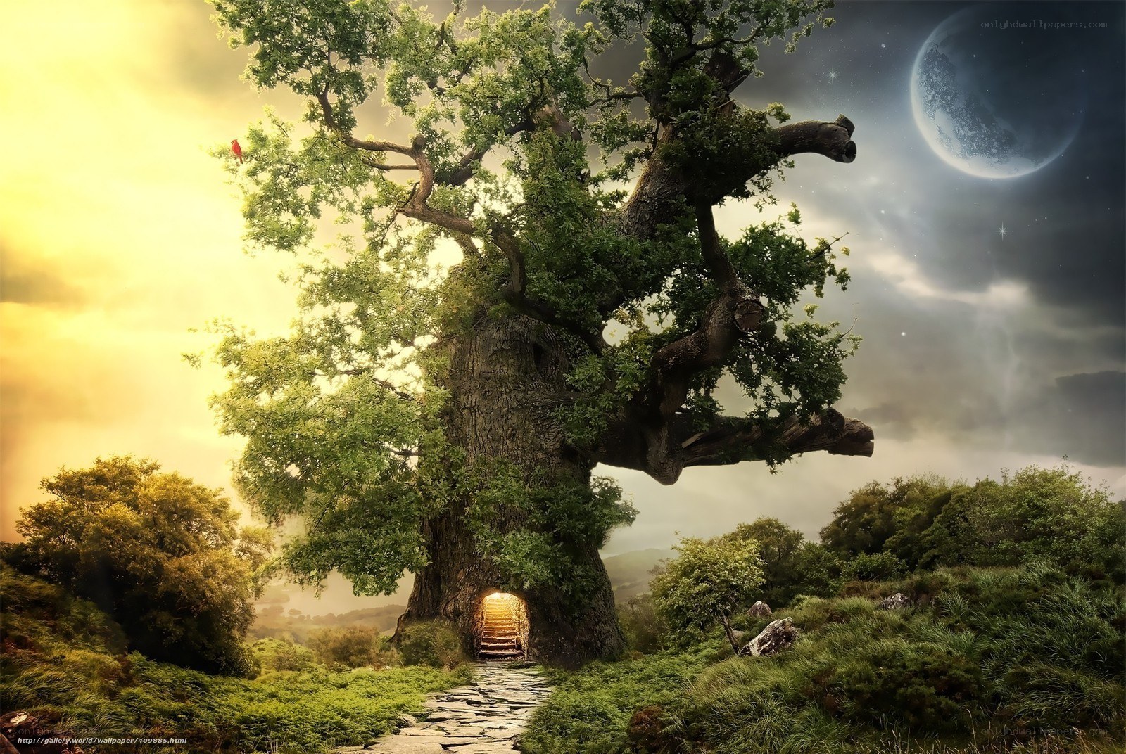 Magical tree with glowing entrance