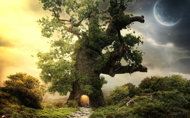 magical tree with moon