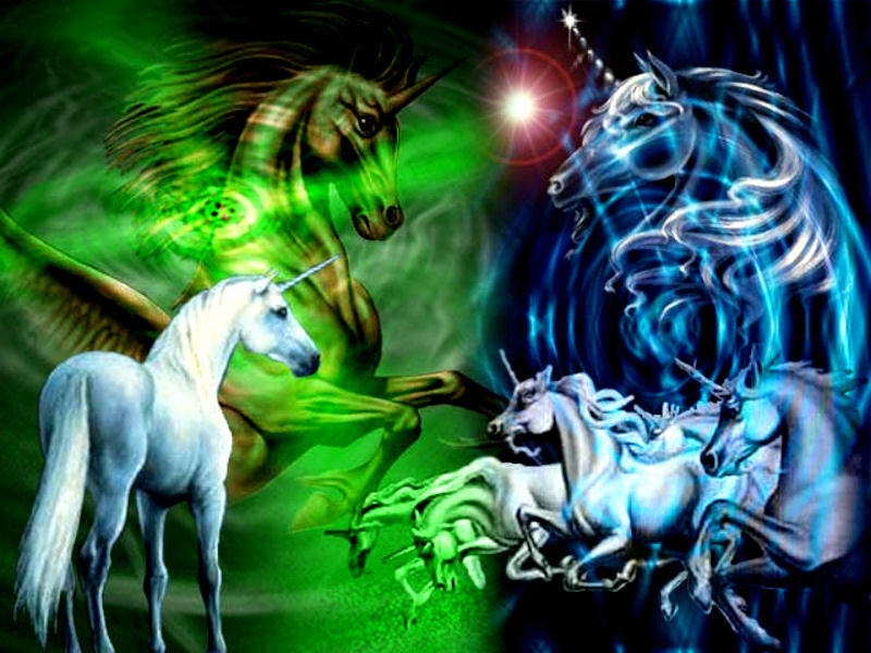 magical unicorns in motion