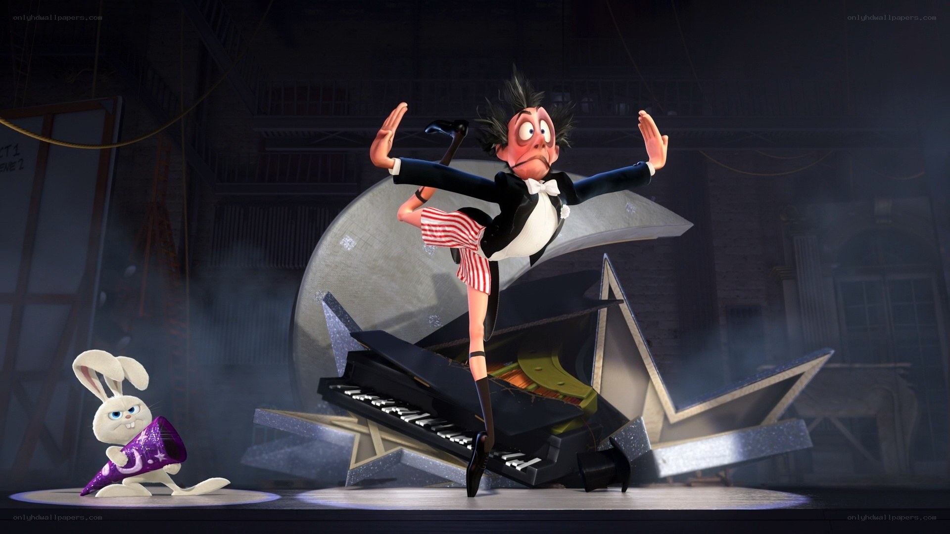 Magician and rabbit on stage