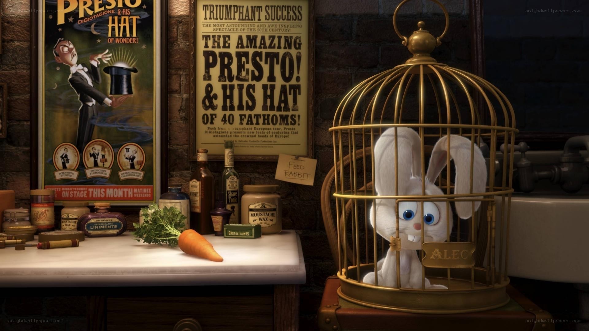 Magician's rabbit in a cage