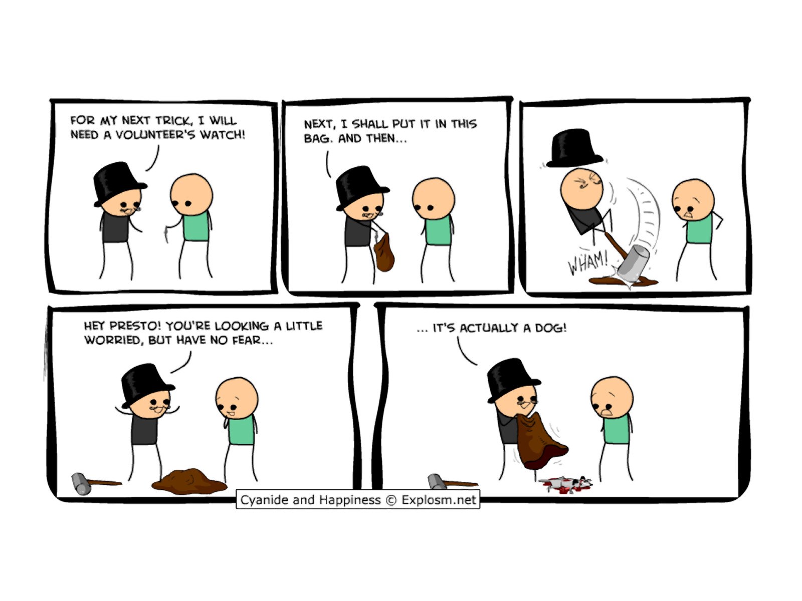 Magician's tragic trick