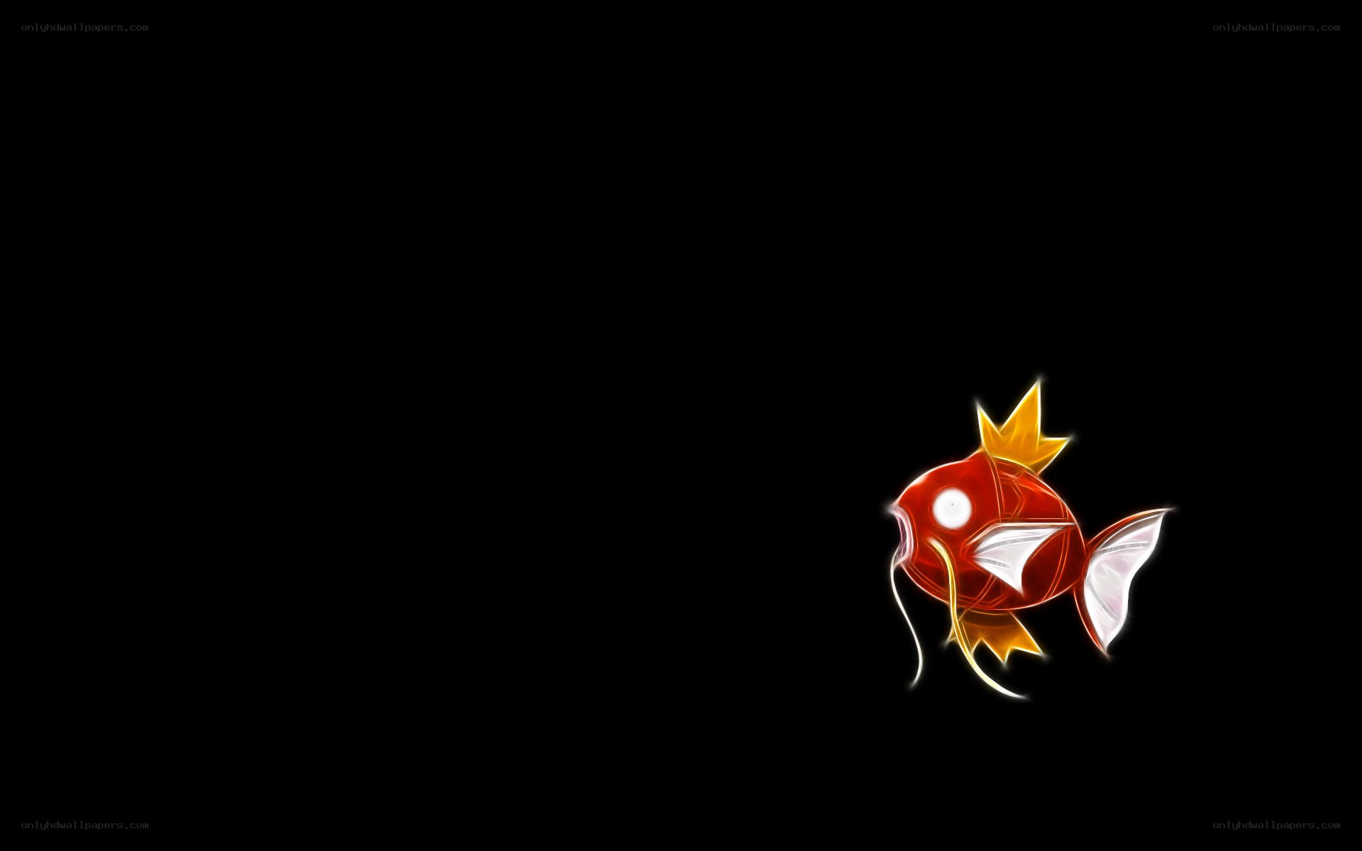 Magikarp glowing on black