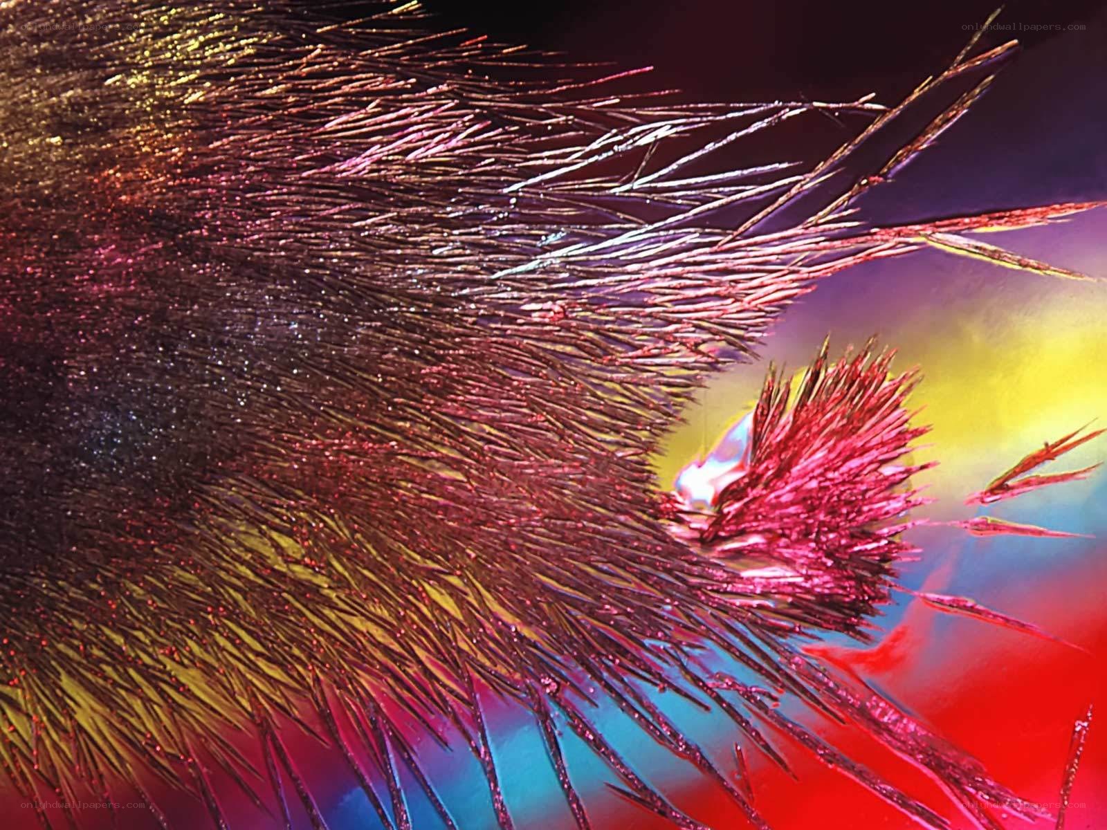 Magnetic field lines visualization