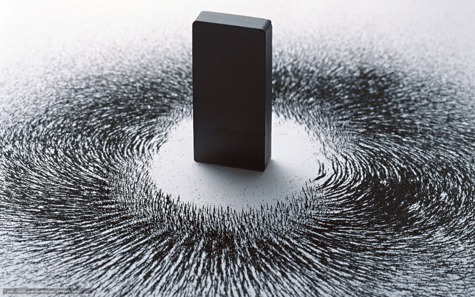 Magnetic Field Lines Visualization