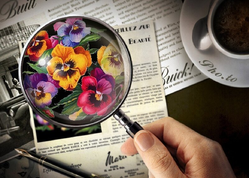 Magnifying Glass on Flowers