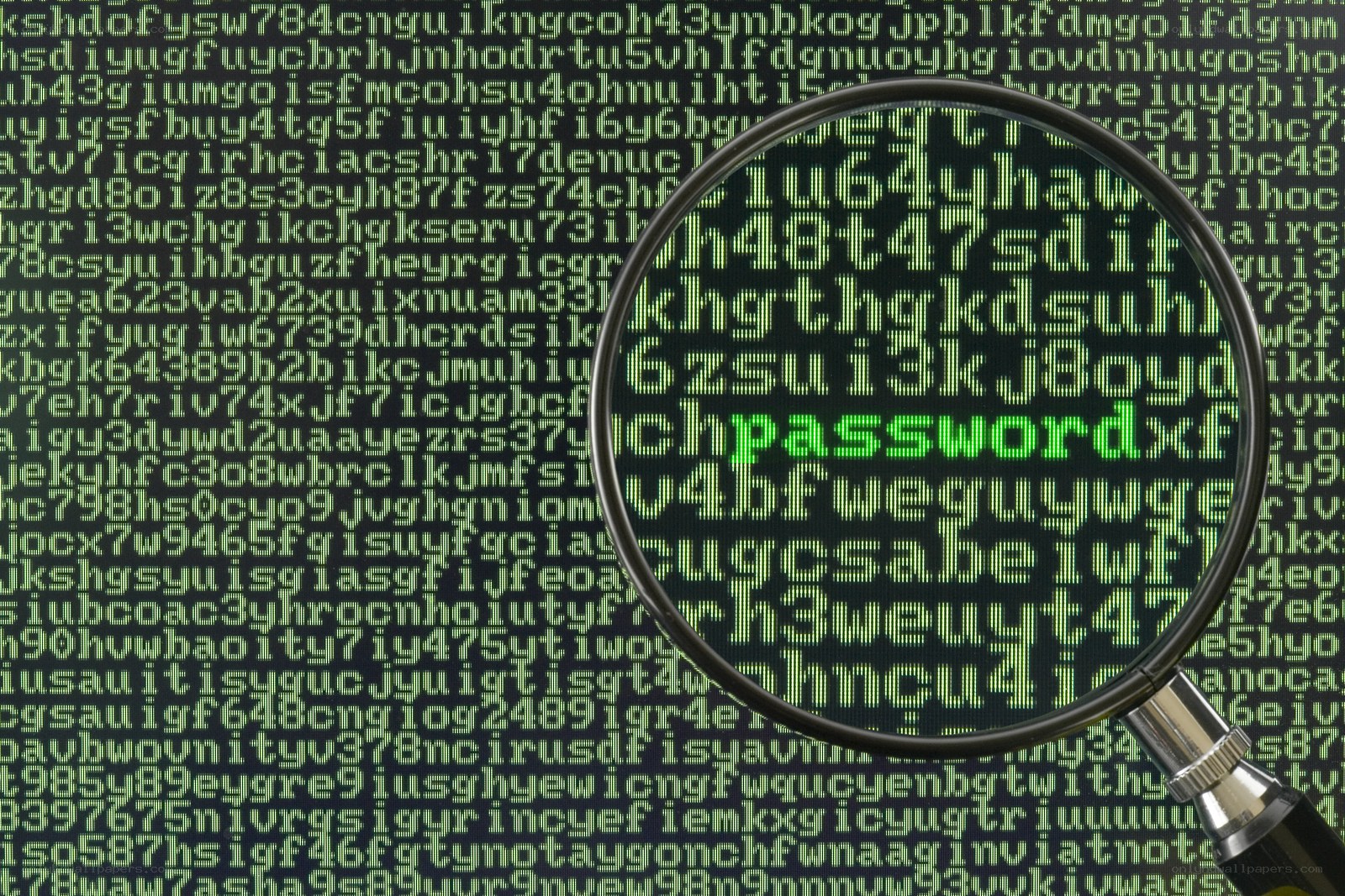 magnifying glass over digital code