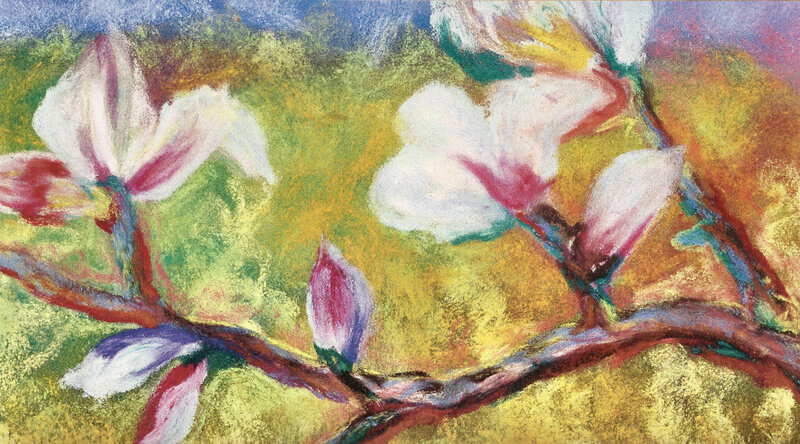 Magnolia Blossoms on Branch — Yellow