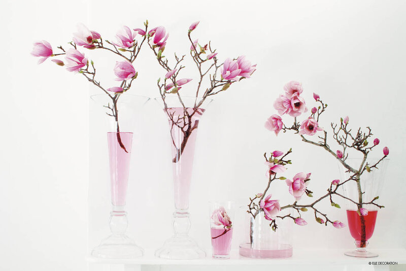 Magnolia Branches in Vases