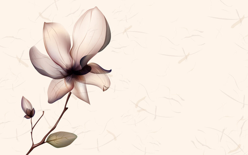 Magnolia Flower Illustration