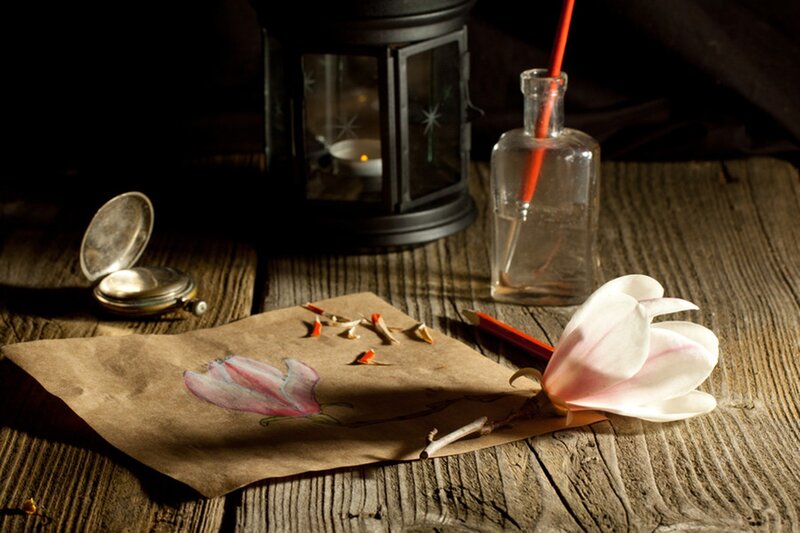 Magnolia Flower on Paper