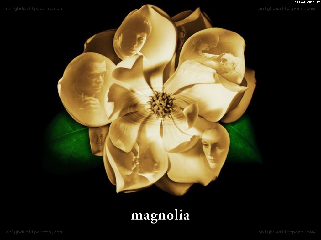 magnolia flower with faces