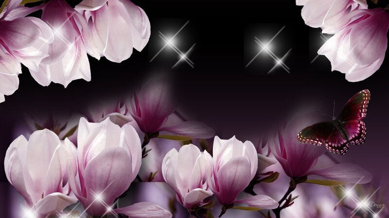 Magnolia Flowers and Butterfly