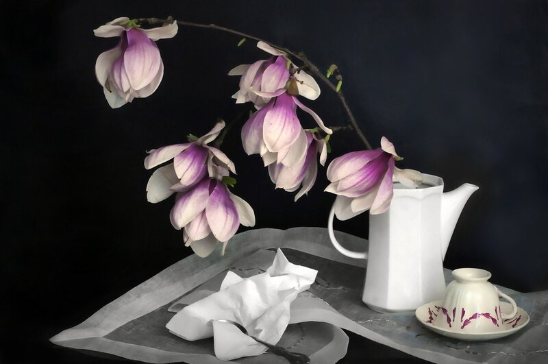 Magnolia Flowers and Teacup