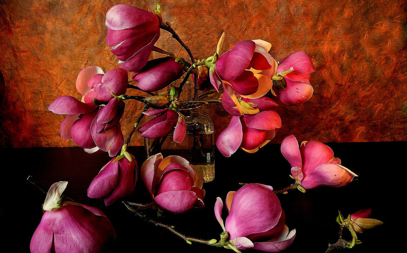 Magnolia Flowers in Vase