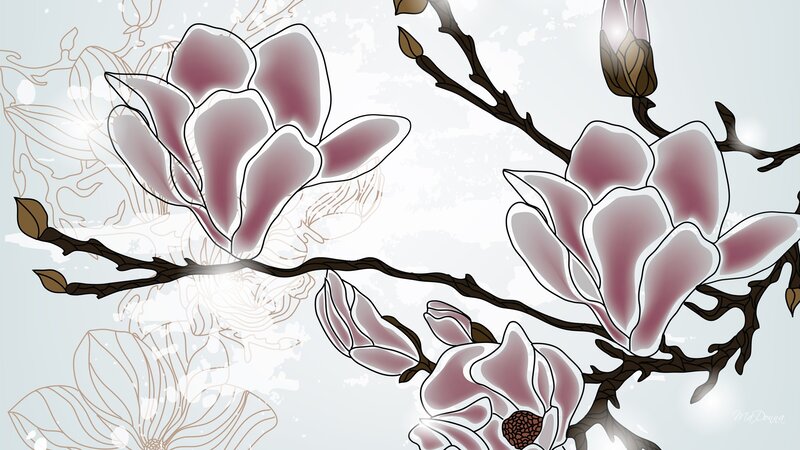 Magnolia Flowers on Branch — Pink, Serene