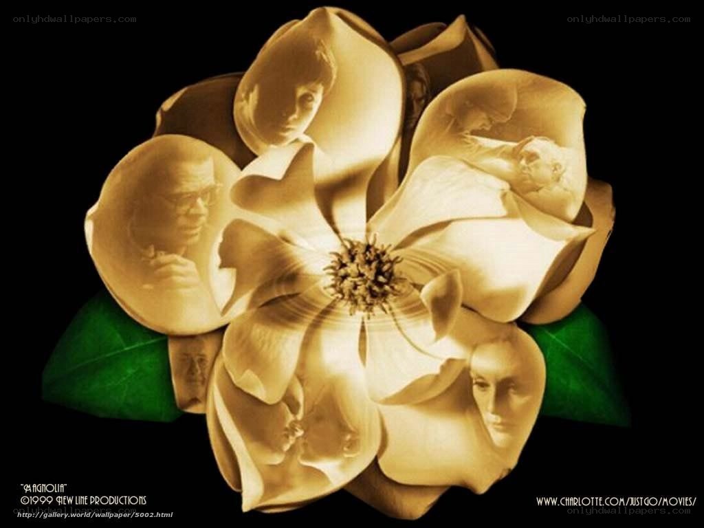 magnolia movie poster
