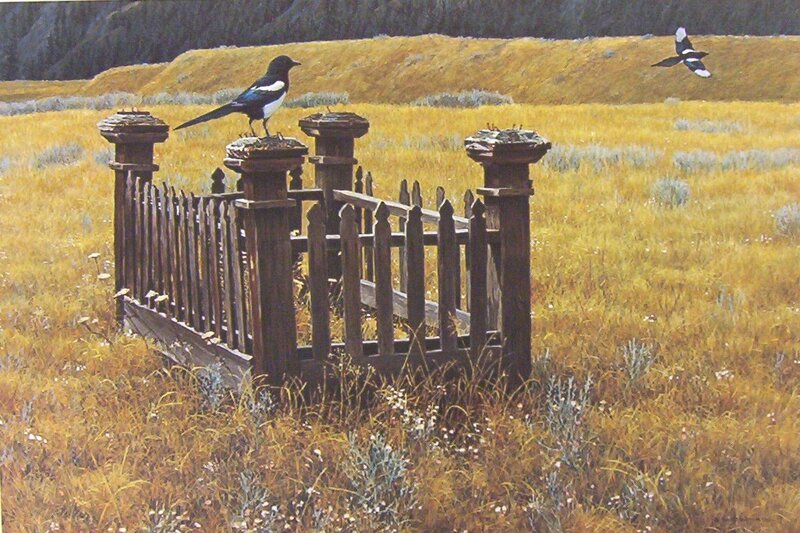 Magpie on Wooden Fence