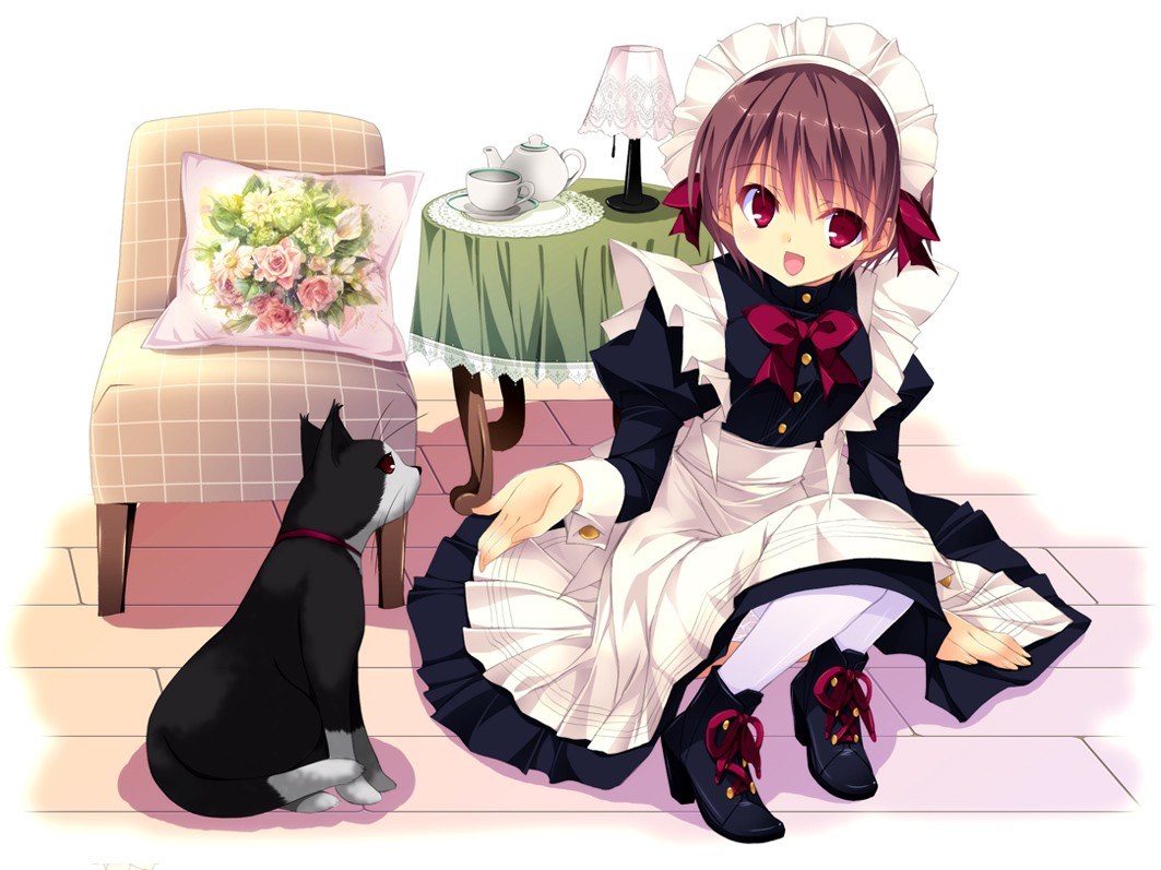 maid and cat tea time