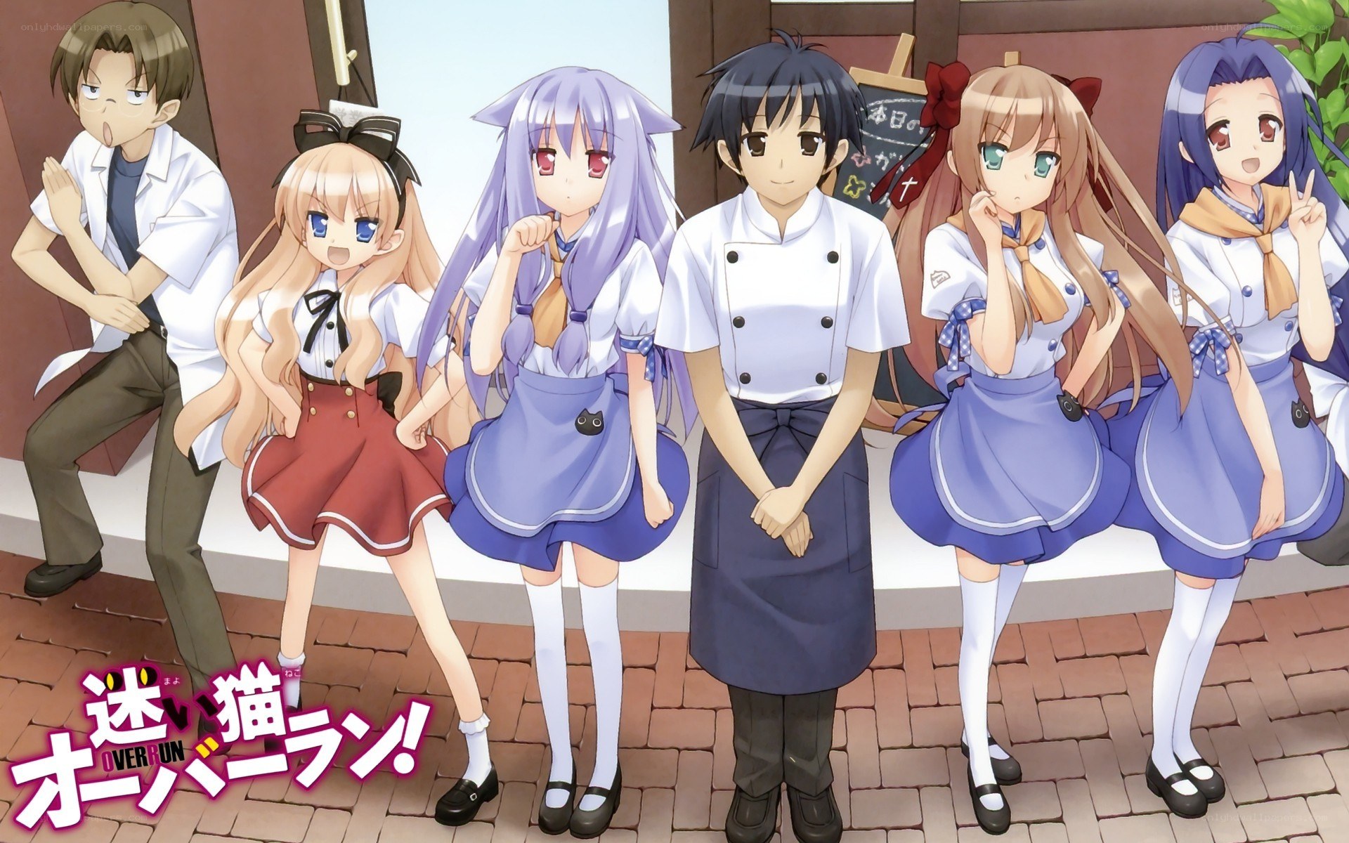 Maid Cafe Overrun!