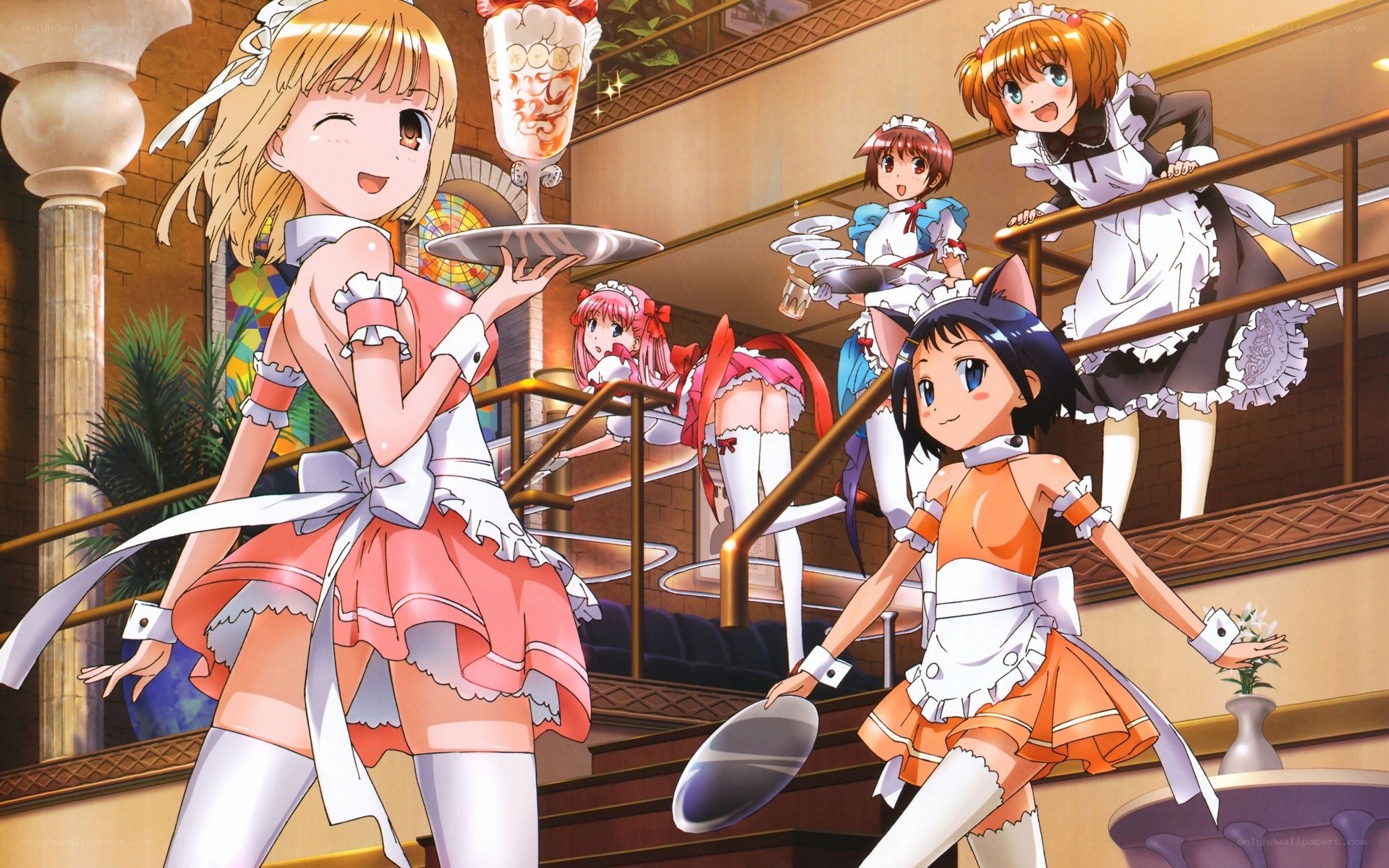 Maid cafe staff in action