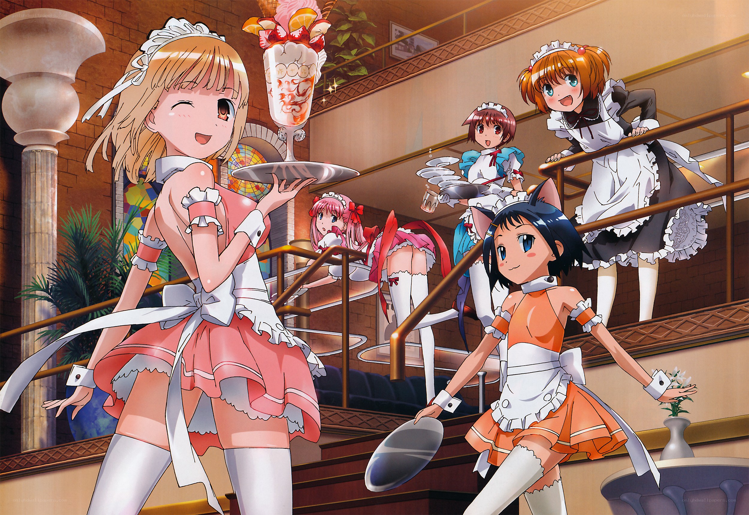 Maid cafe staff in action