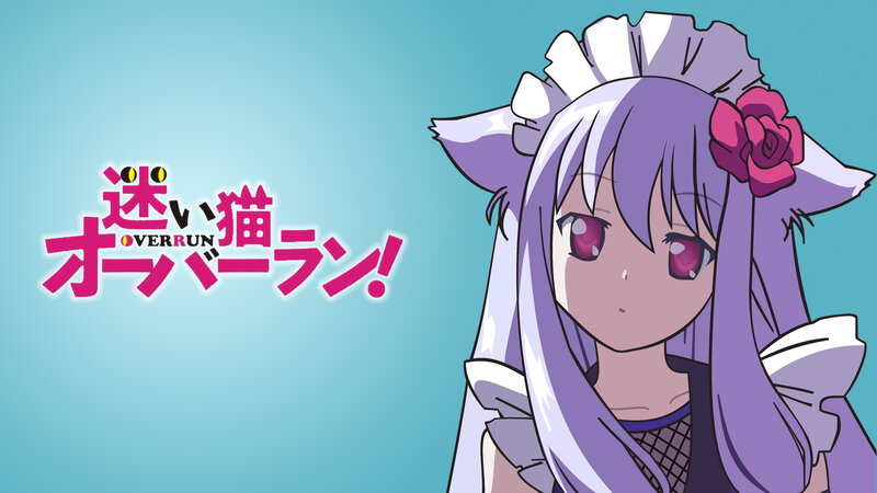 Maid Cat Overrun
