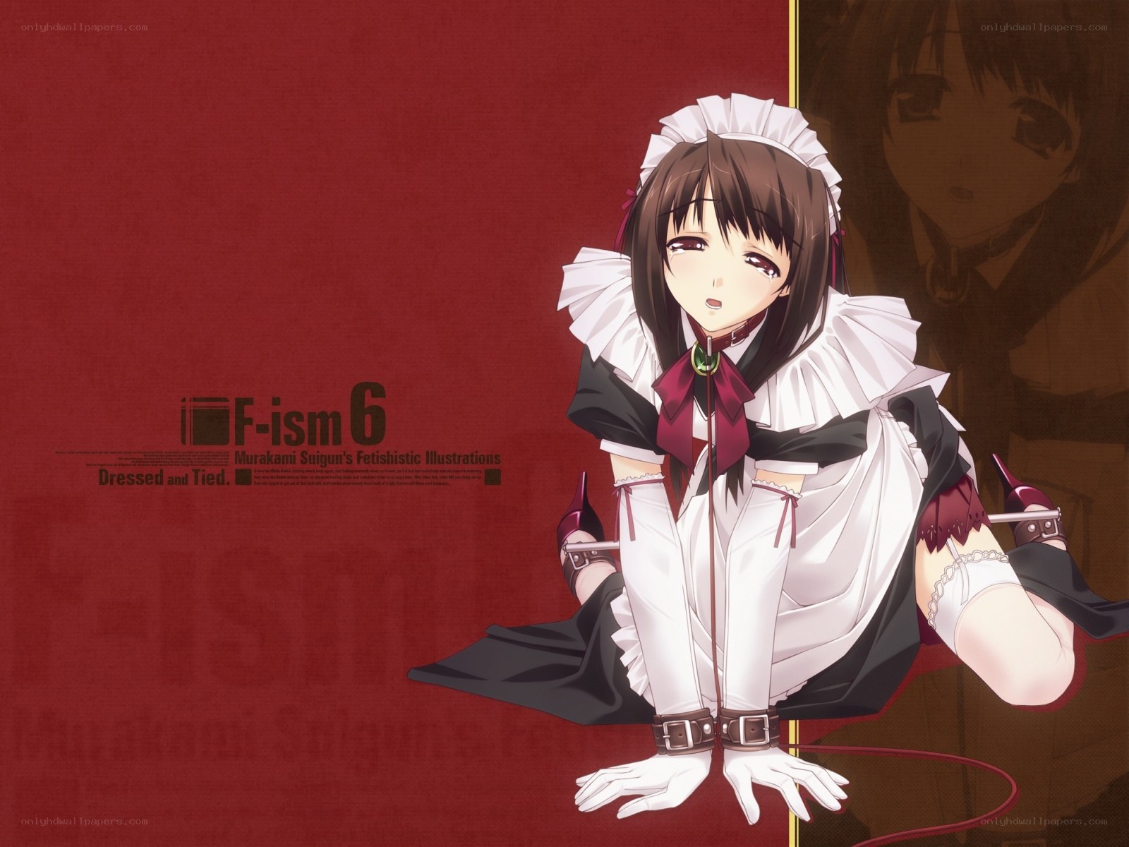 Maid character illustration
