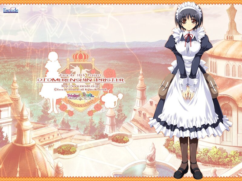 Maid character in a fantasy city