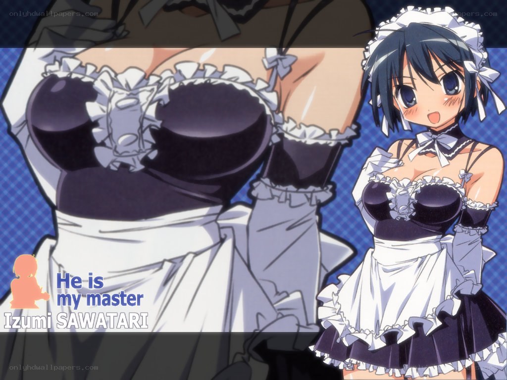 maid character with master