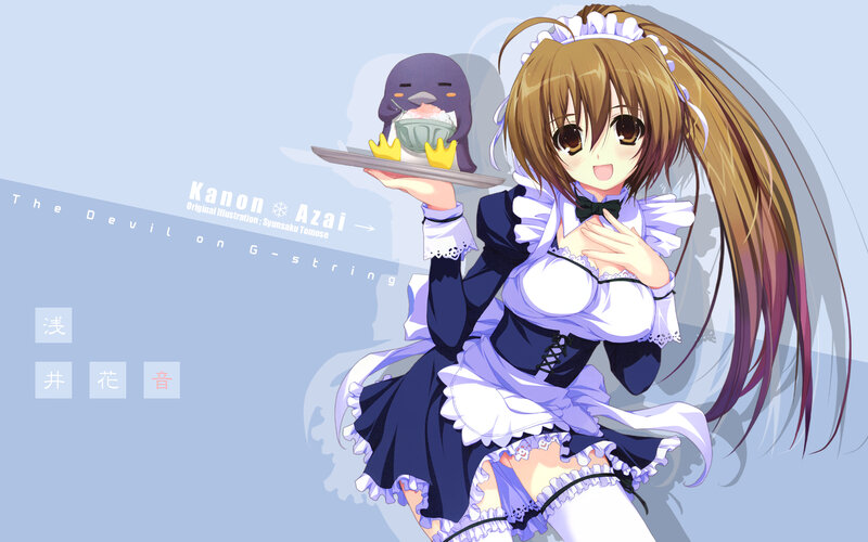 Maid girl with penguin dessert