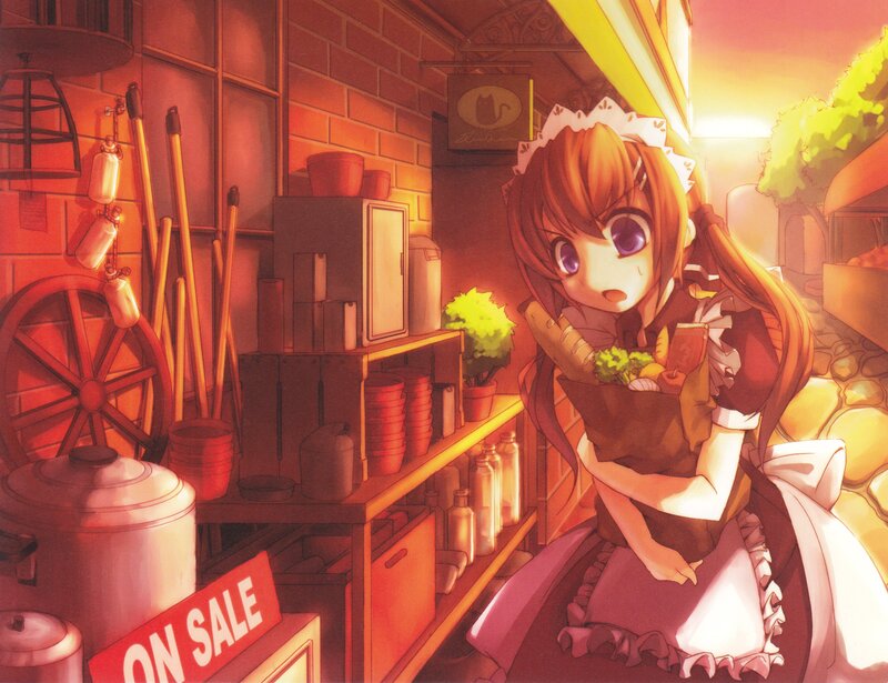 maid holding groceries at sunset