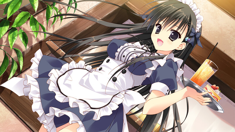 Maid Holding Tray