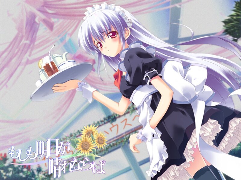 Maid with a tray of drinks