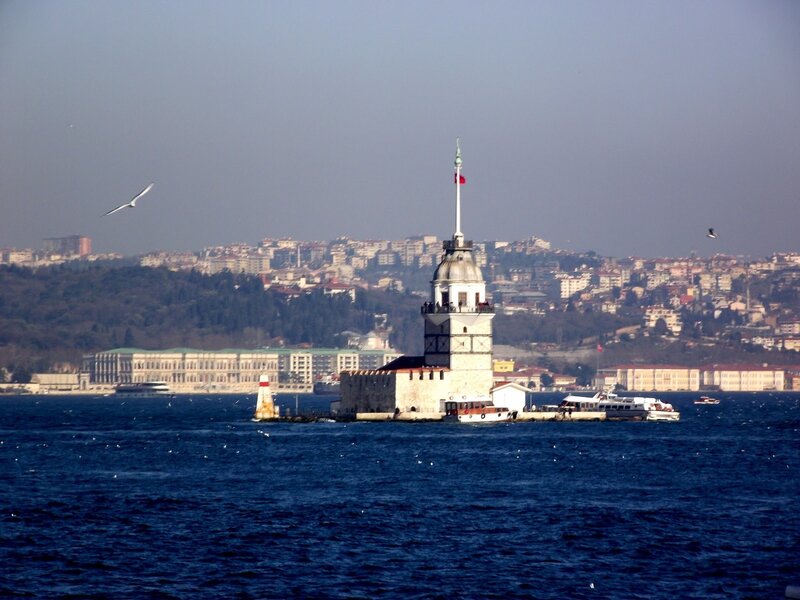 Maiden's Tower — Blue, Serene, Afternoon, Photograph, Seagulls
