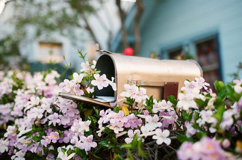 Mailbox Surrounded by Flowers