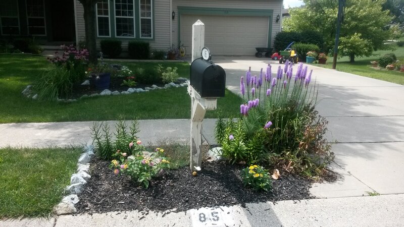 Mailbox with Flowers