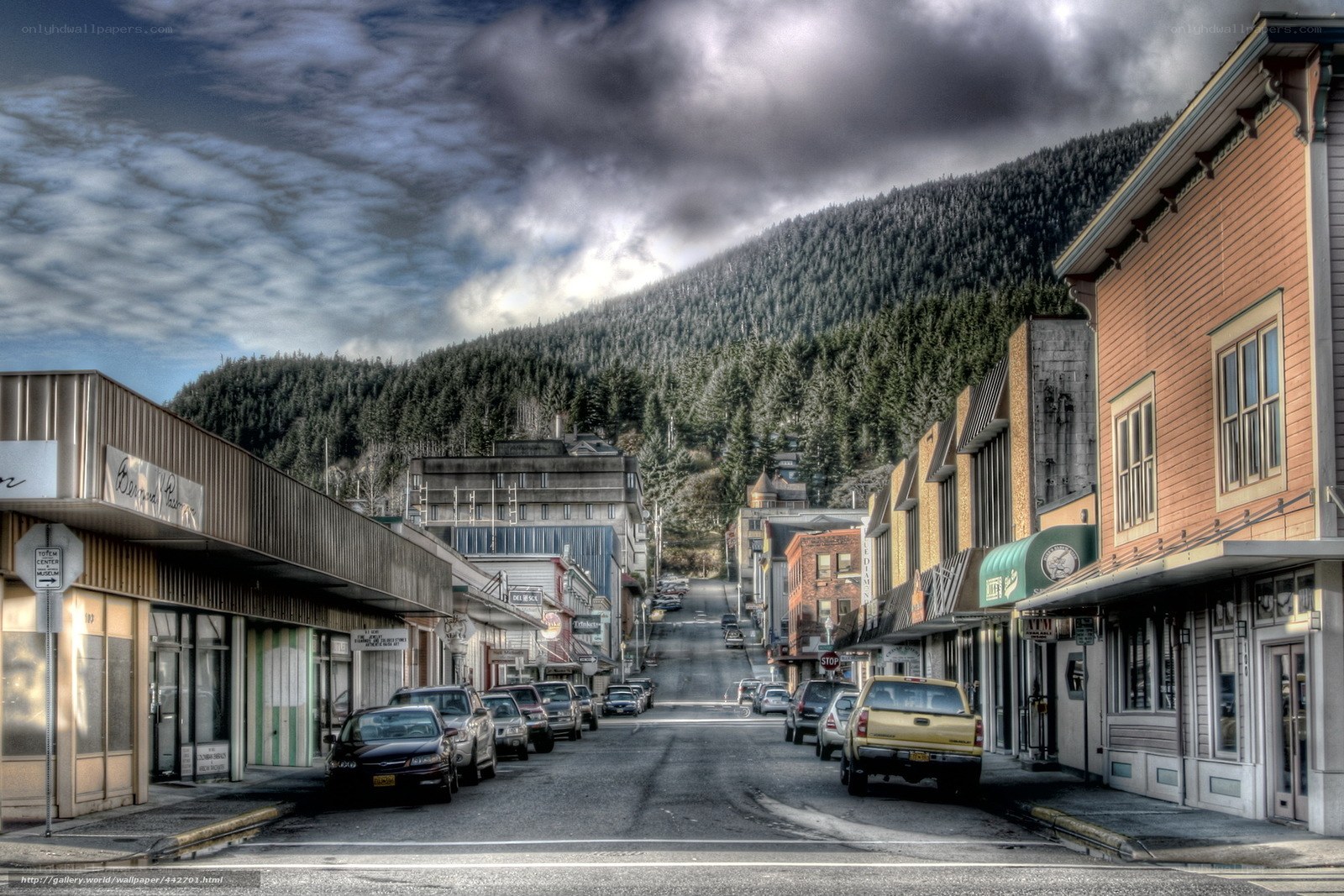 Main Street in a forested town