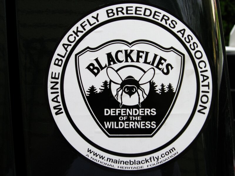 Maine Blackfly Breeders Association sticker