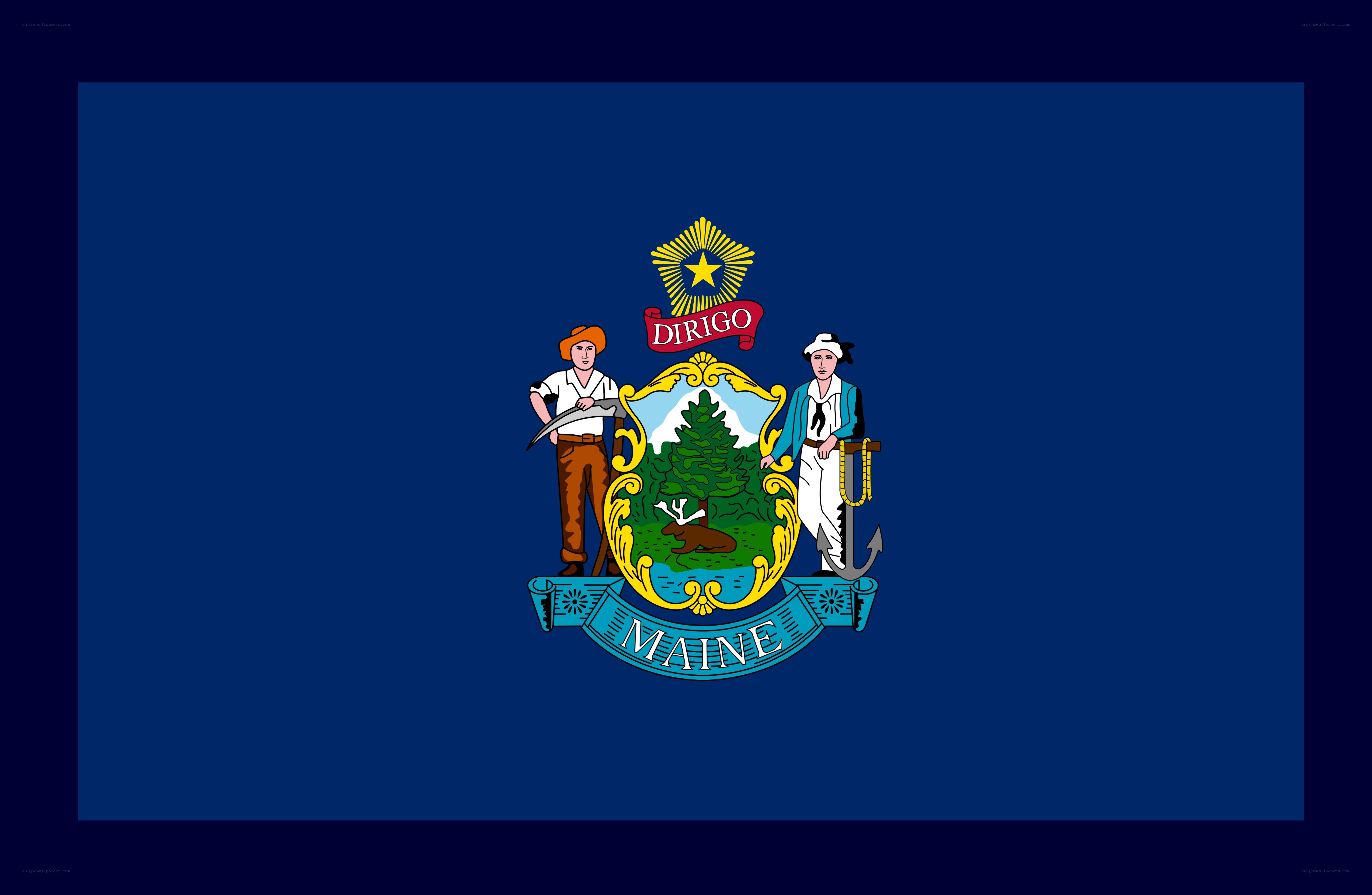 Maine state flag