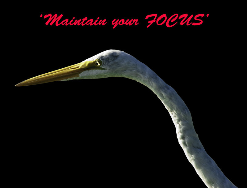 Maintain your focus