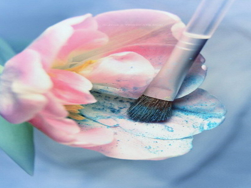 makeup brush on flower petal