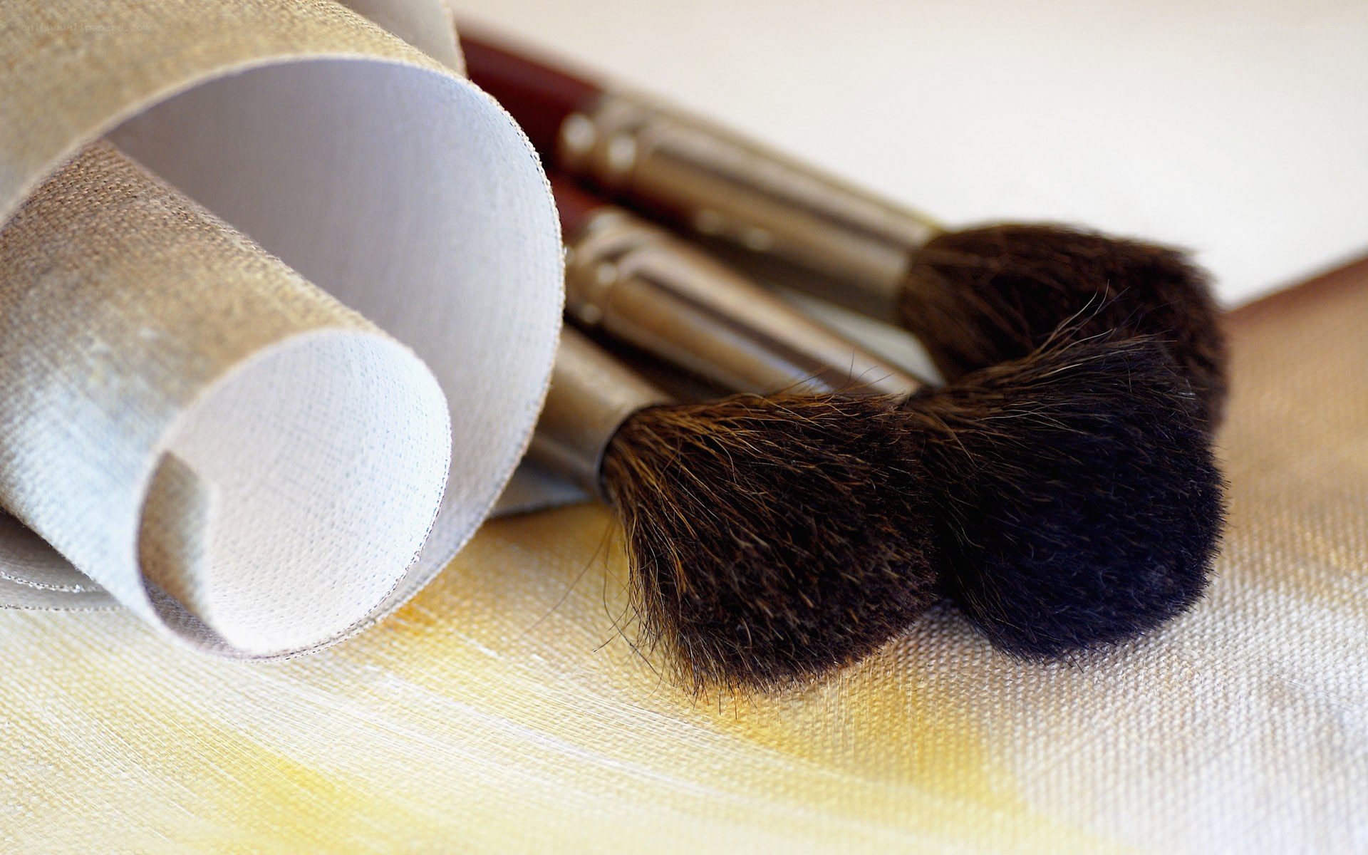 makeup brushes on fabric