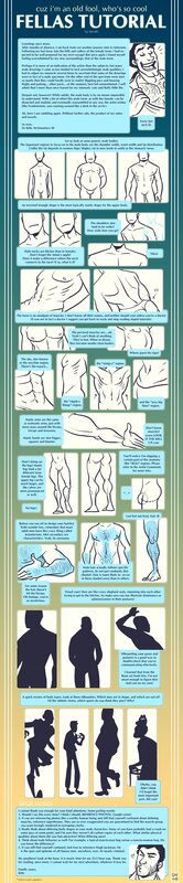 male anatomy tutorial