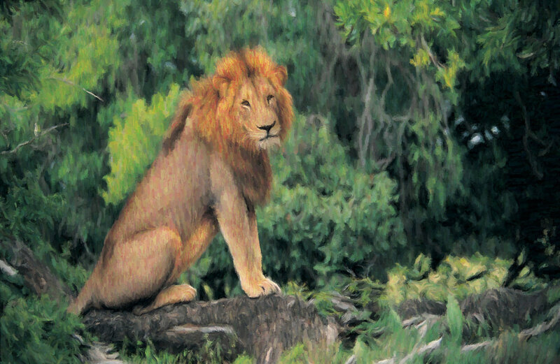 Male Lion in Forest — Green