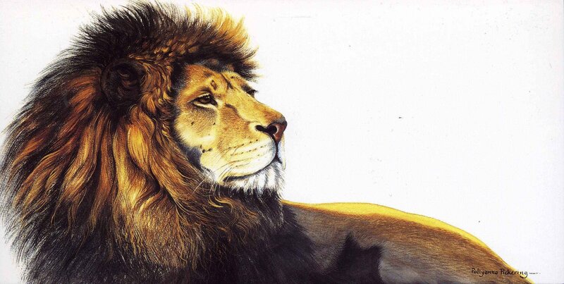 Male Lion in Profile — Brown, Calm, Illustration
