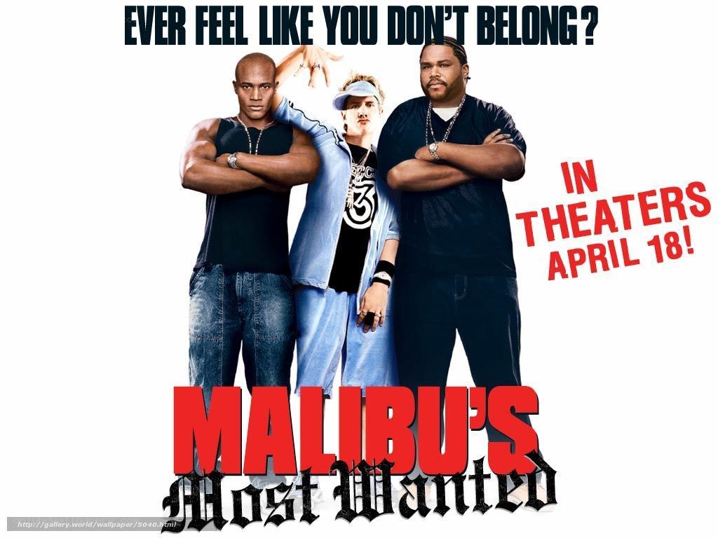 Malibu's Most Wanted movie poster